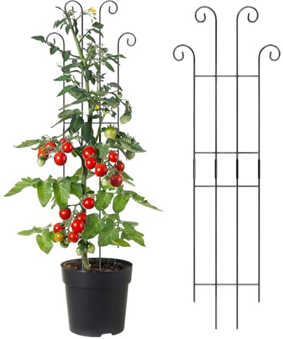 Pflanzen Rankgitter Für Innen | Hoch Rankhilfe Aus Metall | Rankenstützen | Für Außengarten Monstera Tomaten Efeu