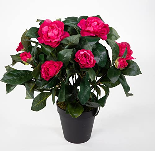 Seidenblumen Roß Kamelie/Camelia 34cm Beauty im Topf JA künstliche Blumen Kunstpflanzen Kunstblumen