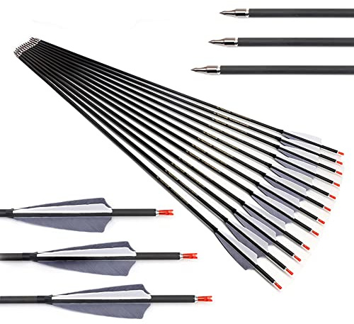 ACCMOS Spine 700 ID 6,2 mm Jagdpfeil Graue Feder Carbon Pfeile für Recurve Bogen Compound Bögen Bogenschießen 12Stück (Spine 700, 30inch)
