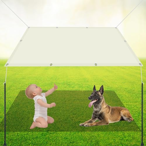 Rectangular Toldos Exterior 2.9 x 4.2 m Toldo de jardín Resistente A Intemperie Protección Rayos 98% UV para Patio Pérgola Exterior, Marfil