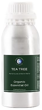 Mystic Moments Huile essentielle d'arbre à thé bio – 1 kg – 100% Pure