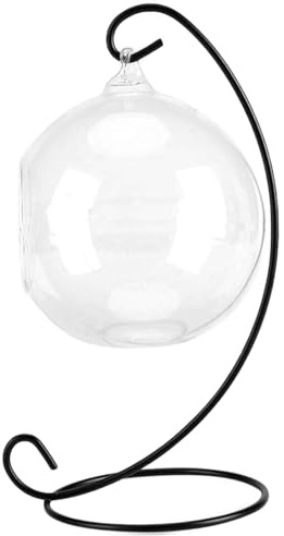 Terrario para Plantas de Aire con Soporte de Hierro Negro Terrarios de Vidrio Transparente para Plantas Colgantes Kit Divertido de terrario para de Aire DIY para suculentas pequeñas