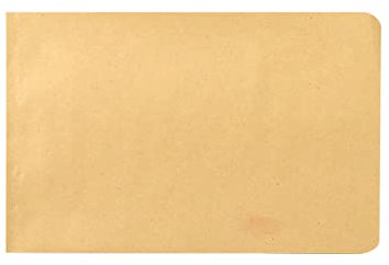 Flachbeutel Kraftpapiertüten, 100 Stück Kraft Umschlag Klein Kraftpapiertüten Mini Papiertüten Waren Butterbrottüten Pralinen Schmuck Samentüten Candy Tüten Mini Geschenktüten Papier-braun-23x16cm