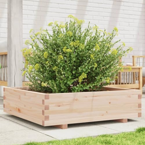 Generic Jardinière de Jardin Carrée en Pin Massif, 90x90x26,5 Cm, pour Faire Pousser des Fleurs, des Herbes et des Décorations dans un Jardin ou une Terrasse avec Beaucoup D'espace