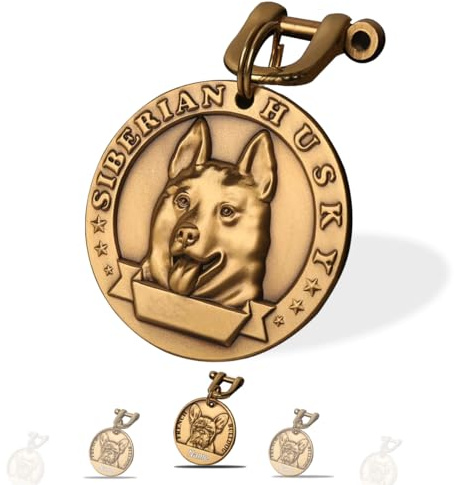 Hundemarke mit Gravur - Hundemarke Personalisiert Gravierter Text auf Beiden Seiten - Messing ⌀35-40mm Dog Tag (Husky)