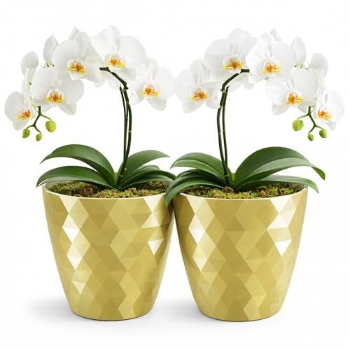 PECZEKO glänzender Blumentöpfe, Kunststoff-Pflanzentöpfe, dekorativer Blumentopf für große und kleine Blumen, 2er-Set Blumentöpf, Pflanztopf, Kräutertopf, (2 Pack) Dunkelgold, ø 12 cm