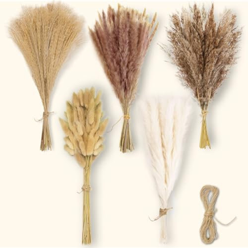 Qcdou Pampa Naturale, 120 Pezzi Fiori Secchi Naturali, Spago di Iuta Fai da te da 10 m, Coda di Coniglio Essiccata Naturalmente, Fiori Secchi, Decorazioni Autunnali Casa-C