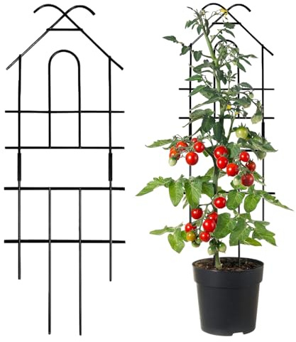 Enrejado De Jardín De Metal - Marco De Soporte Para Plantas Trepadoras | Enrejado Modular De Vid Para Rosas Ivy Monstera Clematis | Decoración De Patio Interior Y Exterior, Jardín, Balcón, Invernadero