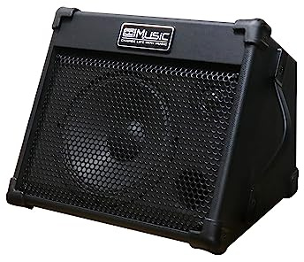 Coolmusic Amplificador portátil de guitarra acústica, para intérpretes en movimiento, Bluetooth integrado (40 W con batería)