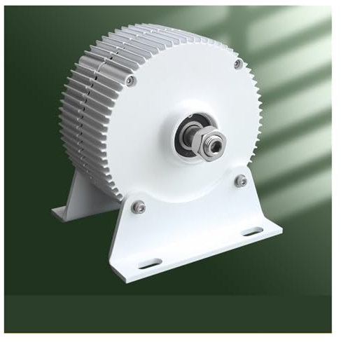 OUHFCASN 1000w Wind Turbine Generator 12V 24V 48V 750 Rpm AC DC Power Magnetic Water Turbine Hydro tor Low Starting Speed for Home(TYPE 2,12V_1000W)