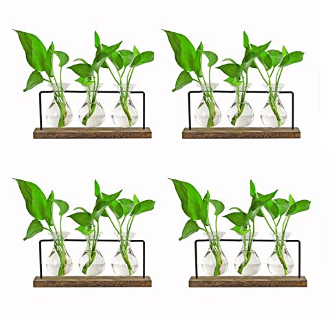 Terrarium en bois pour plantes - 4 stations de propagation avec 3 vases en jacinthe - Pot de fleurs en verre à suspendre au mur - Pour les amateurs de plantes - Pour femme - Maison et jardin