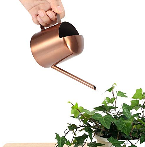 300ml Edelstahl-Gießkanne, Metall-Gießkanne mit langem Auslauf, Kleine Gießkanne für Außen- und Zimmerpflanzen, Ideale Dekoration