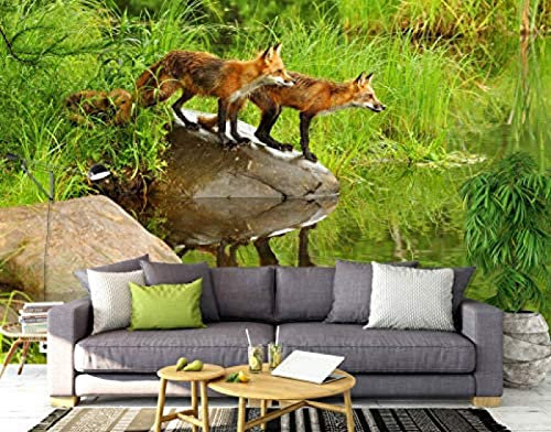 Zorro De Río De Hierba Modelo 3D Tv Pared Pintado Papel Tapiz De 3D Decoración Dormitorio Fotomural Sala Mural-430cm×300cm