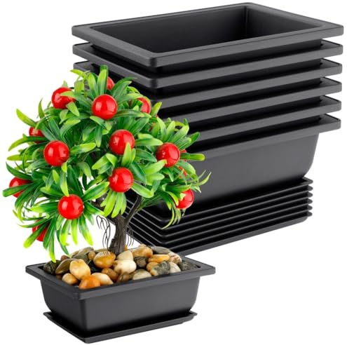 Lot de 6 pots de fleurs rectangulaires en plastique avec bac d'égouttement pour cactus, fleurs, etc