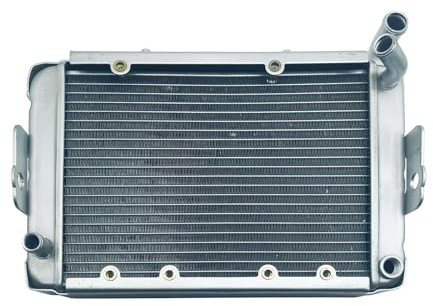 Radiatore dell'acqua Macchina di raffreddamento for LINHAI 300 400cc ATV Linhai LH300 CUV 4WD OEM 22904t 170M-A.11.3b