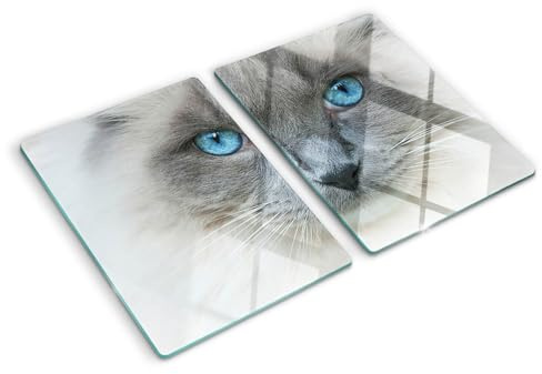 Schneidebretter Glas 2x40x52 cm Hitzebeständig Gehärtetes Glas Rutschfest Silikonfüße Plastikfrei Lebensmittelecht 2 Stück Glasplatte Antibakteriell Dekorativ für die Küche - Katze mit blauen Augen