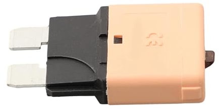 1 Stück rücksetzbare 12 V 24 V automatische Reset-Blade-Sicherungsunterbrecher-Blade-Sicherungsautomatik-Leistungsschalter-Sicherung (Size : 10A)