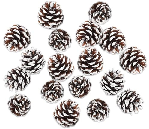YUVKIN 18 pièces Mini Pommes de Pin Décoratives Naturelles, Décoration Sapin de Noël, Ornement Suspendu pour Artisanat Bricolage (3-4cm) (Blanc)