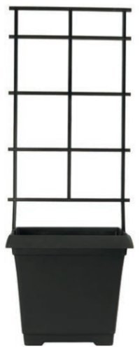 Muddy Hands 9.7 Litre Black Plastic Trellis Planter Climbing Plants Support Sweet Pea Runner Bean Tomato Plant Pot