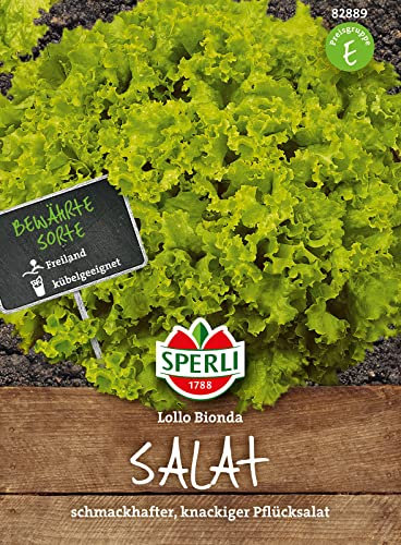 82889 Sperli Premium Lollo Bionda | Salat Samen | Pflücksalat Samen | Schnittsalat Samen | Salatsamen