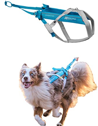 Freemotion Harness 5.0 Parent Listing (Blue/Gray, 4)