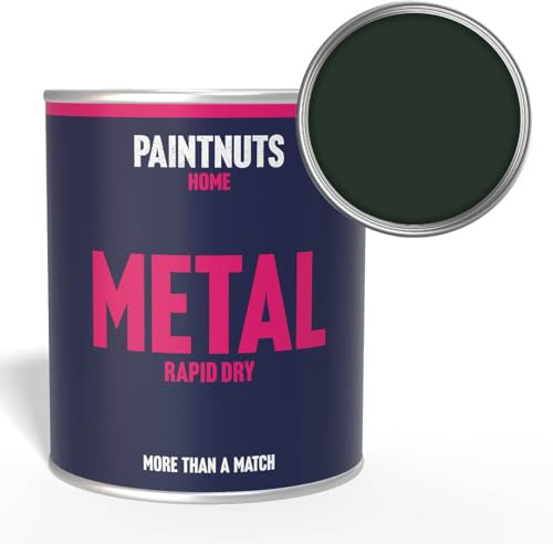 Paintnuts Dark Green (RAL-6009) Rapid Dry Metal Paint, Gloss Finish 250ml