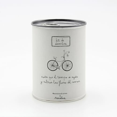 Kit para Plantar Flores en Caja - Semillas de Flores de Colores - Regalo Original para Amigos, Familiares, Fiestas y Cumpleaños - Regalo Ecológico para el Día de la Familia - Fácil de Usar (Bicicleta)