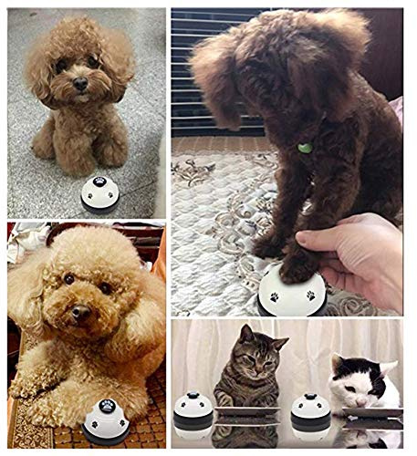 RASTKY Cloche D'entraînement pour Chien, Cloche D'entraînement pour Pot pour Animaux de Compagnie, Anneau Transparent pour Petits Chiens, Outil Mignon pour Animaux de Compagnie pour la Communication