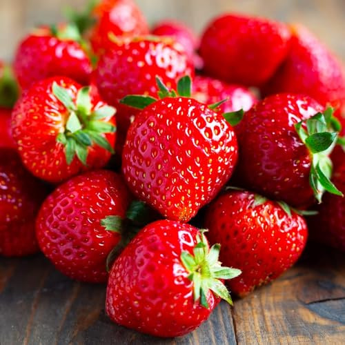 Jordgubbar Ostara – 20 Frigo A+ Plantor – Snabbväxande – Kylda jordgubbsplantor från Holland – Vinterhärdiga och fleråriga – Självbefruktande – Fragaria × Ananassa – Inga frön
