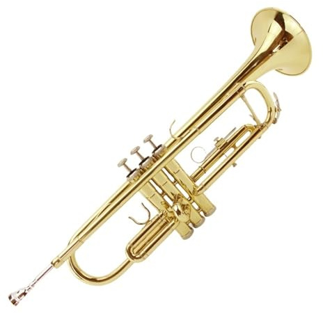 B-Trompete ein für Anfänger geeignetes Instrument