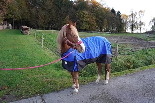 Regendecke Pferdedecke mit Halsteil 115, 125, 135, 145, 155 & 165 Outdoordecke 1200 Denier (Königsblau, 135 cm)