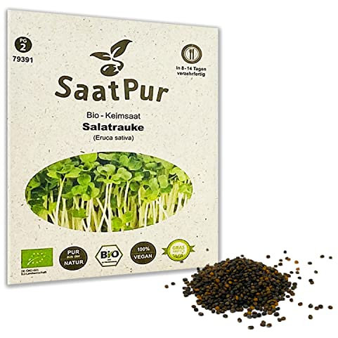 BIO Keimsprossen von SaatPur - Keimsaat für Salatrauke Rauke Sprossen, Microgreens - 75g