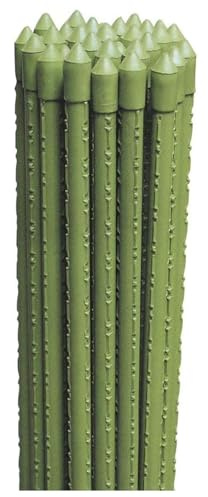 LoviStore 25 PZ Cannette in Metallo Plasticato Tutore in Metallo Rivestito in Plastica, Canne Reggi Piante per Supporto, Sostegno, Ancoraggio, per Orti, Serre, Vivai, Giardini (Ø 11 mm x h 120 cm)