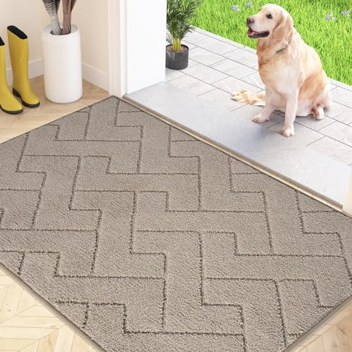 FCSDETAIL Zerbino Interno 80 x 120 cm, Tappetino Antiscivolo e Lavabile in Lavatrice, Tappetino d'Ingresso Assorbenti per Cane, Ingresso, Porta e Corridoio