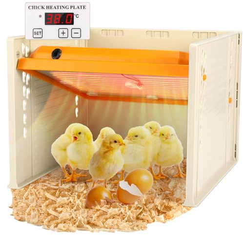 Neulriscn Chick Brooder Heating Plate, Brooder Heater for Chicks, Adjustable Height and Angle, Chicken Brooder Thermostat Incubator for Up to 15 Chicks, Alternative to Heat Lamps and Hens, 10 X 10