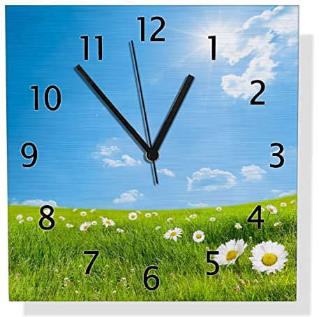 Wallario Design Wanduhr Sommerwiese - Weiße Gänseblümchen vor blauem Himmel aus Aluverbund, Alu-Uhr Größe 30 x 30 cm, Schwarze Zeiger mit Metalloptik