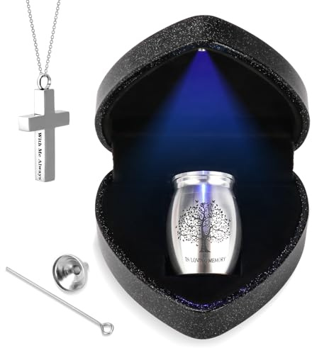 Kleine Urnen für menschliche Asche Andenken mit Herzbox, Urnenhalskette und Trichter, schöne Gedenkgeschenke für den Verlust eines geliebten Menschen, Mini-Urnen für Asche, Silber