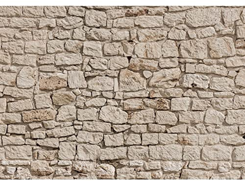 Runa Art Papier peint intissé 396 x 280 cm mur de pierre | Toison Décoration Murale Salon Chambre á Coucherr | Fabrication Allemande | marron 9454012a