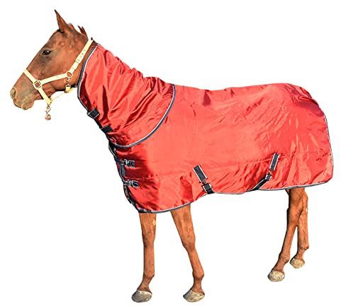HARICSET Abschwitzdecke Pferd Weidedecke Winterdecke Pferd Wasserdicht Weich Bequem und Warm Langlebig Bordeaux(Size:165cm(65in),Color:Rotwein)