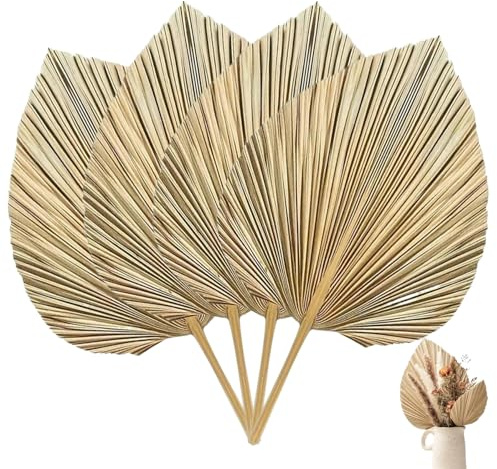 4 Hojas de Palma secas naturalmente, 17 x 9, Hojas de Palma Doradas Bohemias con Tallos, Ramo de frondas Tropicales para decoración de jarrón de Boda, hogar, Cocina