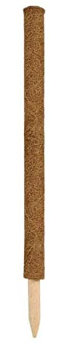 Muddy Hands Coconut Coco Pole Indoor Climbing Plant Support Stake Coir Creeper Trellis Frame (1, 1m (100cm))