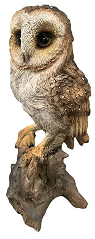 G&H Statue Decor – 24cm Barn Hoot Owl - British Birds Resin Figure - Hand Painted owl Ornament - Intricate Detail Suitable for Indoor or Outdoor Use - Weather Resistant Garden Birds - Bird Gifts