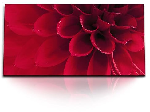 Paul Sinus Kunstdruck Bilder 120x60cm Rote Dahlienblüte Dahlie Blume Blüte Nahaufnahme