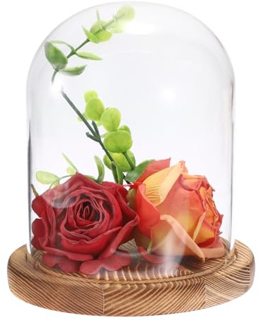 JUXYES Glass Display Dome Cloche with Solid Wood Base, Clear Dome Bell Terrarium Jar Glass Cloche Bell Jar Display for Plants, Collectibles and Figurines