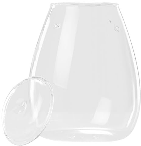 Toddmomy -landschaftsflasche Aus Klarem Glas Dekovase Für Pflanzen Geeignet Für Tischdeko Innen Und Außenbereich Multifunktionale Aufbewahrung Und Kreative Dekoration Für Zuhause Und