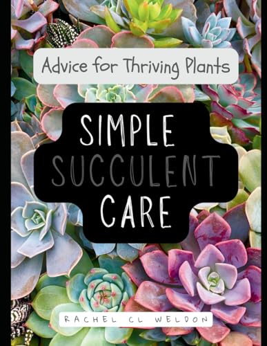 Simple Succulent Care