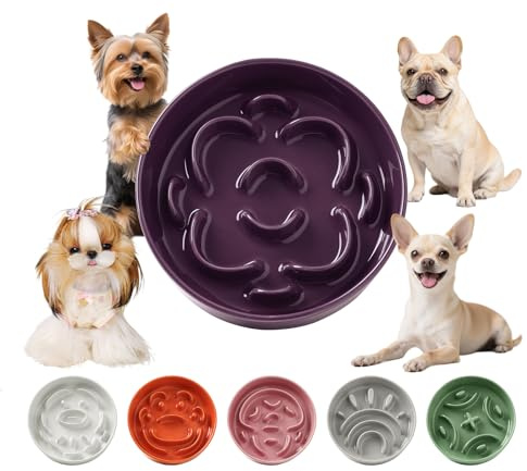 Anti-sling skål katt keramik – anti-fall hund små – matskål långsamt äta interaktiv labyrintdesign – anti-barf och halkfri skål för små husdjur – lila – 180 g
