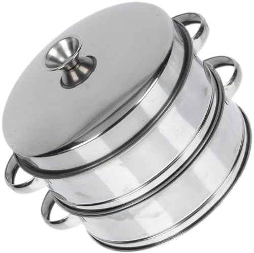 DIYEAH Vaporera de Acero Inoxidable 2 Niveles con Tapa Multifuncional para Cocina Doméstica y Restaurante Utensilio para Cocinar al Vapor Dumplings Bollos y Verduras Resistente y