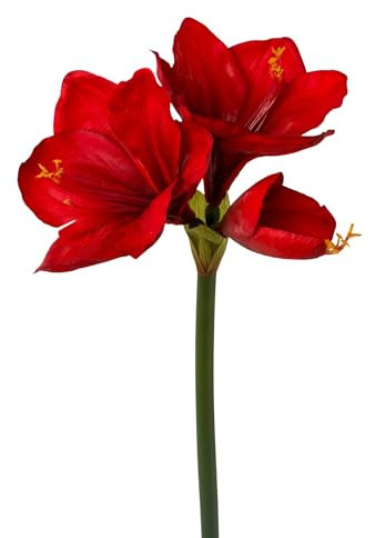 CREATIV green künstliche Amaryllis 68cm in rot I mit naturgetreuen Blüten I hochwertige & stilvolle Real Touch Kunst-Amaryllis I ideal als Indoor- oder Weihnachtsdeko