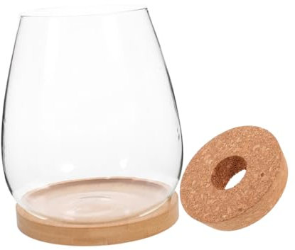 KONTONTY 1ensemble Bouteille pour Terrarium Petit Conteneur Décoratif pour Plantes Et Micro- pour Intérieur Bureau Jardin avec Couvercle Et Accessoires